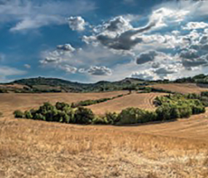 Quels sont les impacts du changement climatique sur notre production agricole ? Un jeu de questions réponses autour des solutions